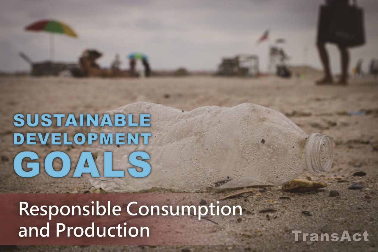SDGs Goal 12. Ensure sustainable consumption and production patterns