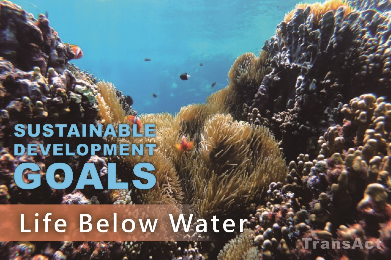 SDGs Goal 14. Life Below Water