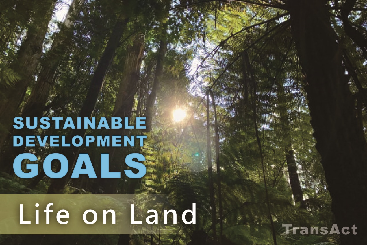 SDGs Goal 15. Life on Land